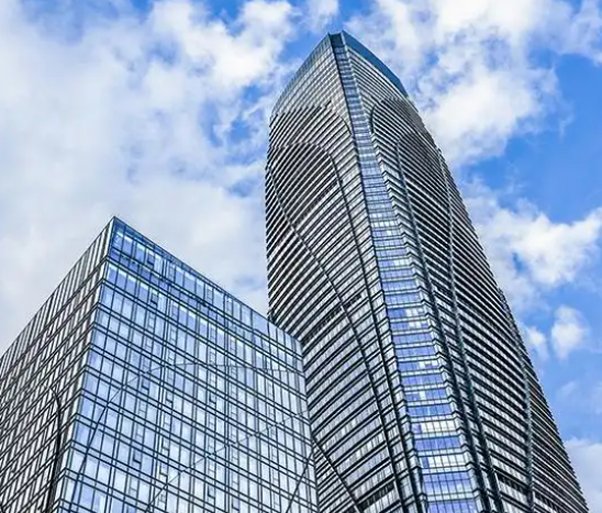红美人柑橘苗培育关键技术解析:象山臻乐家庭农场的种植实践