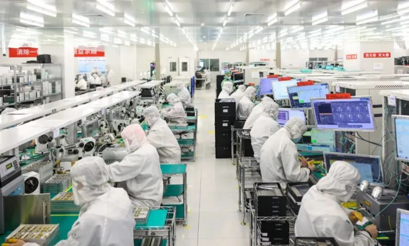 象山红美人柑橘苗木品种对比：不同砧木对果实品质与产量的影响分析
